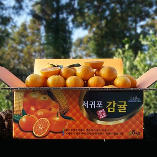 귤담원 제주 제철 감귤, 04.감귤 3kg 중대과(L/2L), 1박스