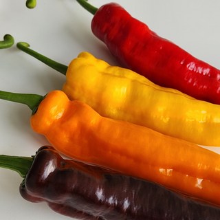 [당도보장] 롱 파프리카 국내산 롱스위트 GAP인증 특품 디아머스, 1박스, 1kg