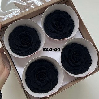 花藝夢 Rose Amor 厄瓜多永生玫瑰花 單朵販售 8-8.5公分 永生玫瑰, 黑色 BLA-01