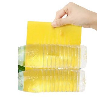 熊貓購物 造型黏蟲版 果蠅 薊馬 黏蟲板 黃色黏蟲紙板, 1個, 20*15四方型