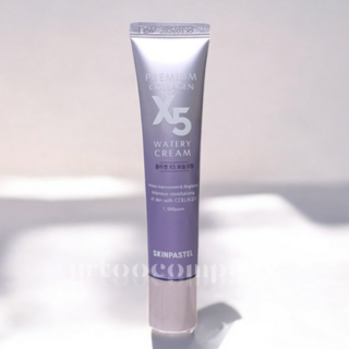 스킨케어 스킨파스텔 프리미엄 콜라겐 X5 보습 크림 히알루론산 30ml 1개