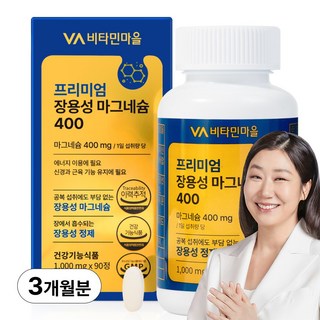 비타민마을 프리미엄 장용성 마그네슘 400 90g, 90정, 1개