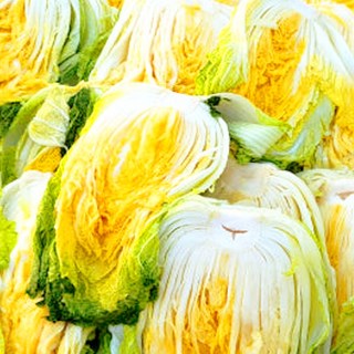 강원도 영월 청정 고냉지 절임 김장 20키로 절인 배추, 12월10일(수)도착, 1박스, 20kg