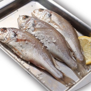 짭짜롭한 밥도둑 침조기 20마리 중량 2.2KG 긴가이석태, 침조기20마리