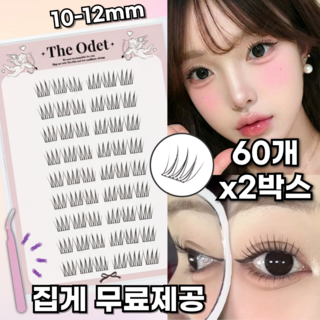 디오뎃 노글루 속눈썹 풀 필요없는 대용량 아이돌 아이래쉬 10-12mm, 2개, 60개입