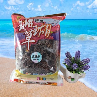 野生血珊瑚草 智利深海 600g, 1個