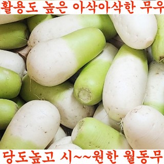 국산 제주무 월동무 세척 무우 김장무 못난이 작은무, 1개, 못난이무 3kg