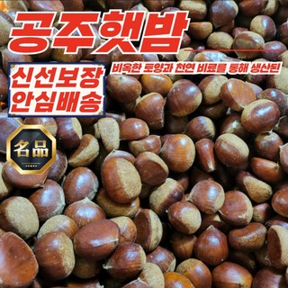 [푸디픽] 충남 공주 햇밤 특과 1KG