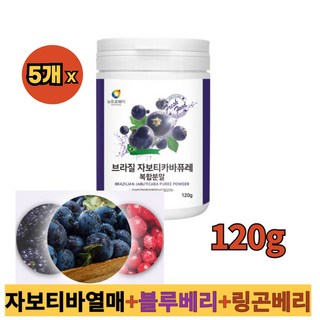 뉴트로웨이 브라질 자보티카바퓨레 복합분말120g, 120g, 5개