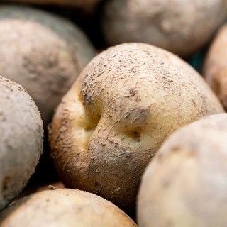 햇 수미 감자 (당일배송), 5kg 대 (찜용), 1개