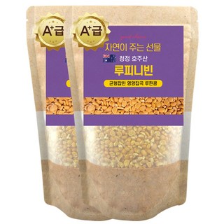 에코홀릭 루피니빈 호주산 루피니빈콩 루핀콩, 2개, 1kg