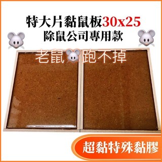 新生王子 黏鼠板 滅鼠神器 除鼠公司專用, 1個, 特大片30x25黏鼠板(2片)