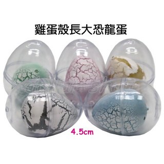 寶貝玩具屋 雞蛋殼長大恐龍蛋 會長大的恐龍 萬用蛋 抽獎道具 扭蛋 夾娃娃機 小教具, 1個