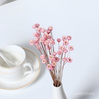 巴西小星花小蠟菊迷你小雛菊幹花花束真花風乾滿天星幹花裝飾網紅, 原色一束（50支花朵幹黃豆大小）,細口陶瓷花瓶