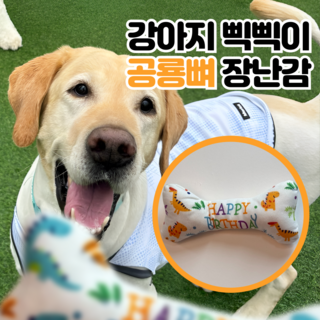 LETOJ 강아지 공룡 뼈다귀 장난감, 옐로우, 1개