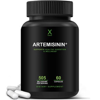 휴먼엑스 개똥쑥 아르테미시닌 505mg 아르테미시아 웜우드추출물 Artemisinin+, 1개, 60정