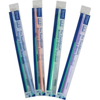 미니칫솔 강아지칫솔 강아지구강위생 1개 버박강아지칫솔 미니