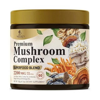 네이쳐뉴트리션 버섯 복합 파우더 라이온즈메인 동충하초 영지 차가 터키테일 Nature's Nutrition Mushroom Powder, 1개, 132g