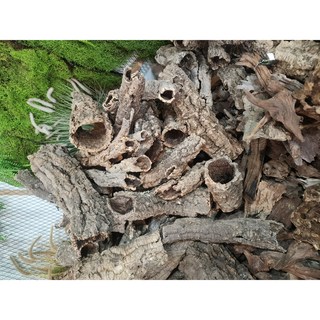 소형코르크튜브20~30cm 사육장코르크튜브 천연코르크튜브 자연코르크튜브, 1개, 코르크튜브