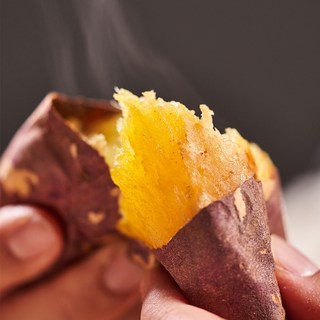 농가직송 25년 고당도 호풍미 호박고구마 토본식 당진, 1박스, 특 5kg