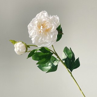 兩頭牡丹現代家居仿真芍藥乾燥花絹花客廳擺件拍照道具, 1538奶白, 1個