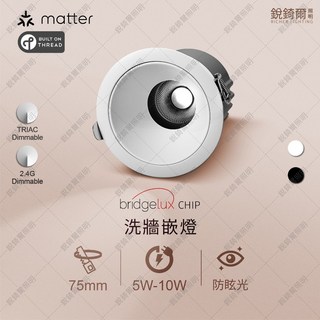 Richler Lighting LED 崁燈 TUL-DLWW-1602 75mm 嵌孔 洗牆柔光 bridgelux CHIP 3000K/3500K/4000K, 1個, 75mm 黑框+黑內杯,5W 4000K 自然光