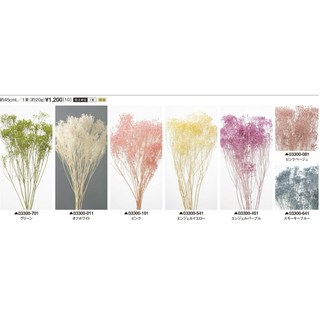 日本大地農園 乾燥木滿天星(原裝包) 乾燥花 永生花 花藝設計, 03300-101,原裝