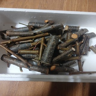 [너와 함께라면] 개복숭아 1kg