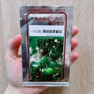 城禾農產 黑帥紫黑番茄種子 28粒 黑番茄種子 紫番茄種子 紫黑番茄 種子, 1個, 分包裝5粒