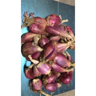 Gigi生活館 紅蔥頭，台灣在地嚴選，天然香氣濃郁，各式料理提味好幫手，安心健康無添加, 1個, small particles(小）