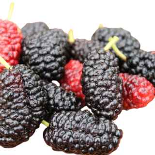 [재구매율1위!] 국내산 냉동 개량 오디, 1박스, 2kg (특상)