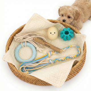 토리토스 퍼피 에센셜 이갈이장난감 세트 소형견용 얇은 두께, 1세트, 블루&옐로우