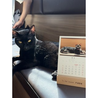 To the mooooon 黑貓閣樓 貓咪造型桌曆 木質底座, 1個