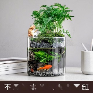 [완벽 무환수] 어항 세트 미니 사무실 인테리어 수족관 어항 화분, 층층 바위