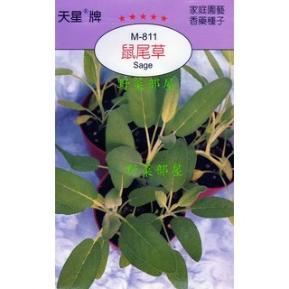 天星牌鼠尾草種子 M-811 (野菜部屋穗耕種苗), 1包