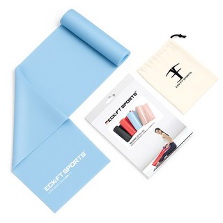 엑피트 라텍스 스트레칭밴드 + 보관가방, 2단계 블루, 1개