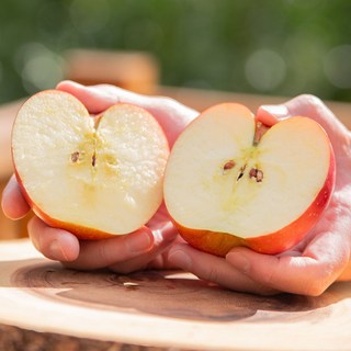 [초특가] 고당도 못난이 사과 부사, 1개, 10kg [S~M] 한정수량