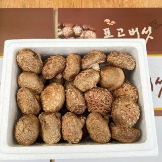 2025년 추석 고급 생 표고버섯 선물 세트 1kg 국내산 (상품) 농장 산지 직송 부모님 선생님 명절 답례품 가족 회사 감사한분께