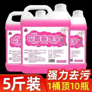 臺灣出貨 花香拖地寶 瓷磚地板清洗劑 強力去污 家用持久殺菌 衛生間去味增香液, 1個, 花香拖地液【無腳印+去污漬】持久清香,500g*1瓶【花香型】潔淨去污