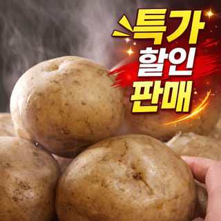 [100박스한정] 26년수확 농장직송 국내산 햇감자, 1박스, 3kg(대)