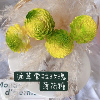 萬花。瞳 乾燥花素材-日本進口太陽玫瑰 索拉花 通草花 繽紛薄荷糖 婚禮佈置/手作素材/攝影道具/新娘捧花, 漸層色直徑8cm版本