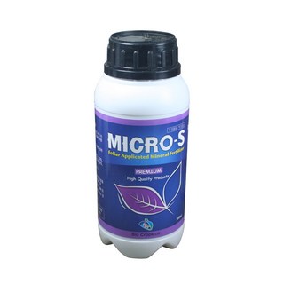 마이크로에스 블루베리 고추 배추 마늘 양파 사과 배 포도 감 감자 고구마 매실 자두 과수 소나무 벚나무 수목 비료 영양제 낙과 낙화 냉해 동해 방지 생장 착색 당도 텃밭, (블루베리)마이크로에스500ml, 1개