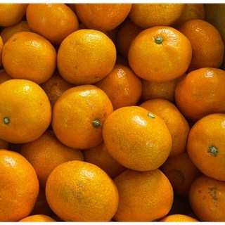 고당동 친환경 유기농 제주감귤 혼합과5kg 10kg, 1개, 유기농귤5kg혼합과