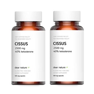 디어네이처 시서스 2500mg 40% 케토스테론 120 정 (4개월분), 120정, 2개