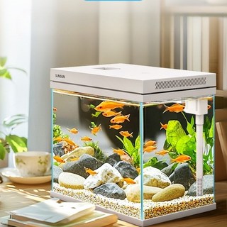 무환수 미니 수조 배면섬프 자동청소 초보자용 소형, 초투명_250A물반얀