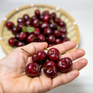 선한마켓 항공직송 체리 프리미엄 로얄과 22Brix, 1박스, 로얄과 500g