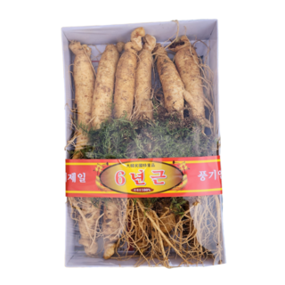 풍기인삼 5년근 6년근 인삼 수삼, 정품 원수삼 500g(8~12뿌리) 선물용 실속포장, 1개