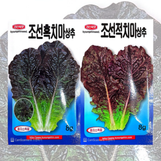 조선흑치마 상추 씨앗 조선 적치마 상추 씨앗 8g [26년포장], 1개