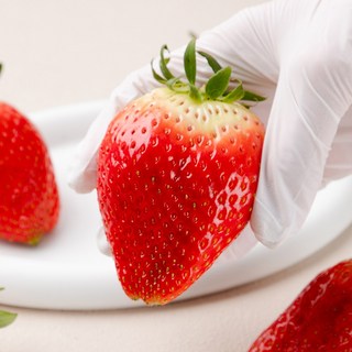 신선하랑 당일수확 대왕딸기 논산 킹스베리 딸기 특대딸기, 1박스, 킹스베리 800g 왕특 (16-18과)