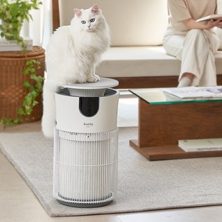 고양이공기청정기